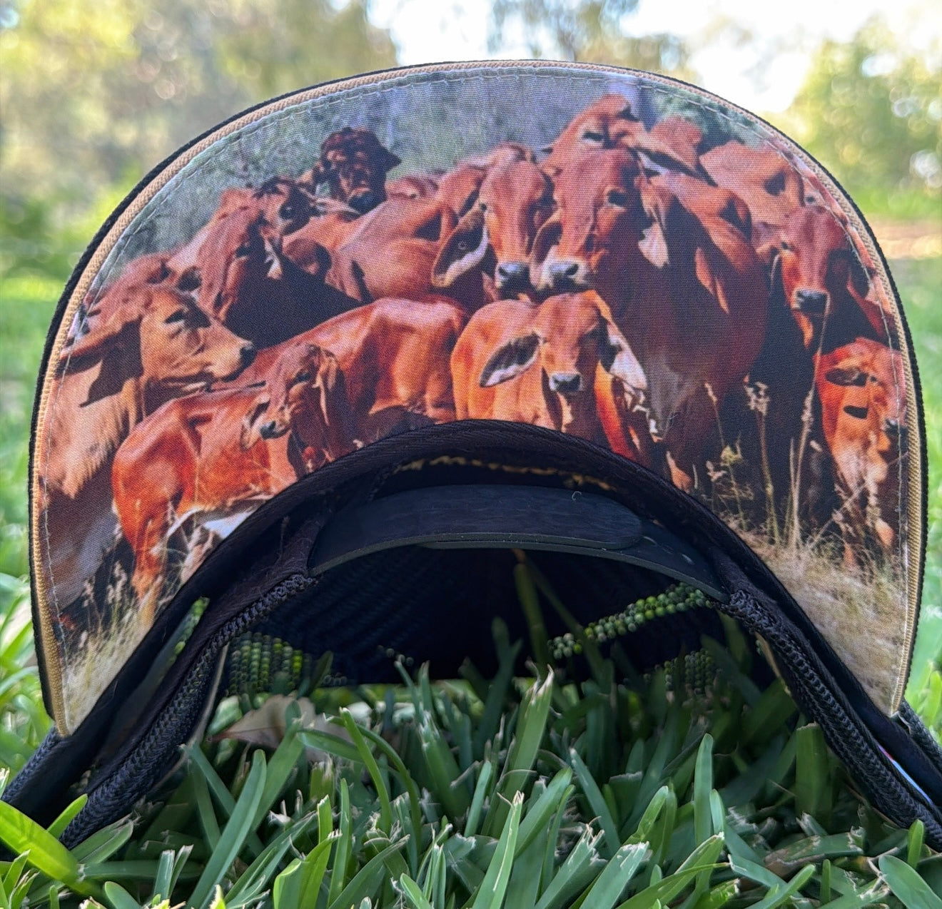 Dwyer Trucker Cap - Black & Gold