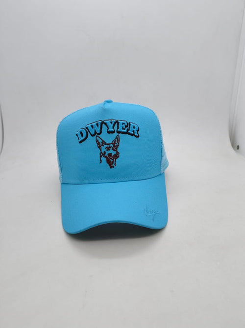 Dwyer Trucker Cap - Blue & Brown