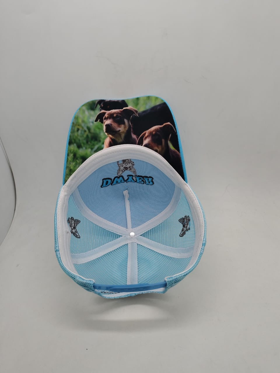 Dwyer Trucker Cap - Blue & Brown