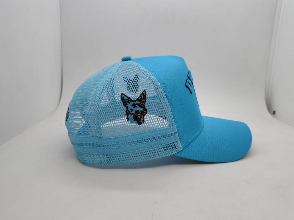 Dwyer Trucker Cap - Blue & Brown