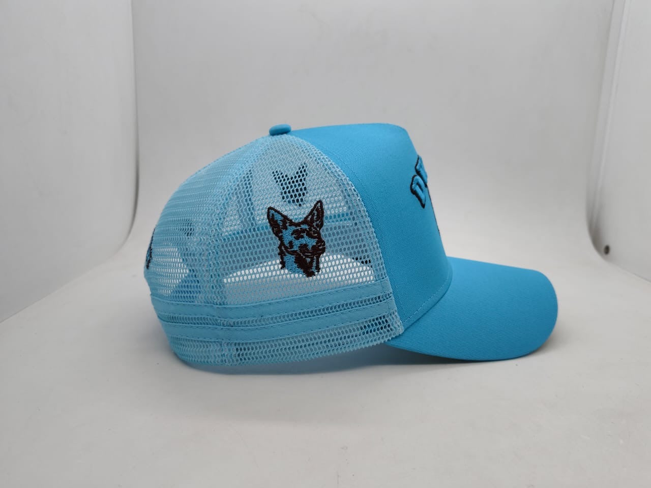 Dwyer Trucker Cap - Blue & Brown