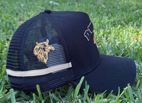 Dwyer Trucker Cap - Black & Gold