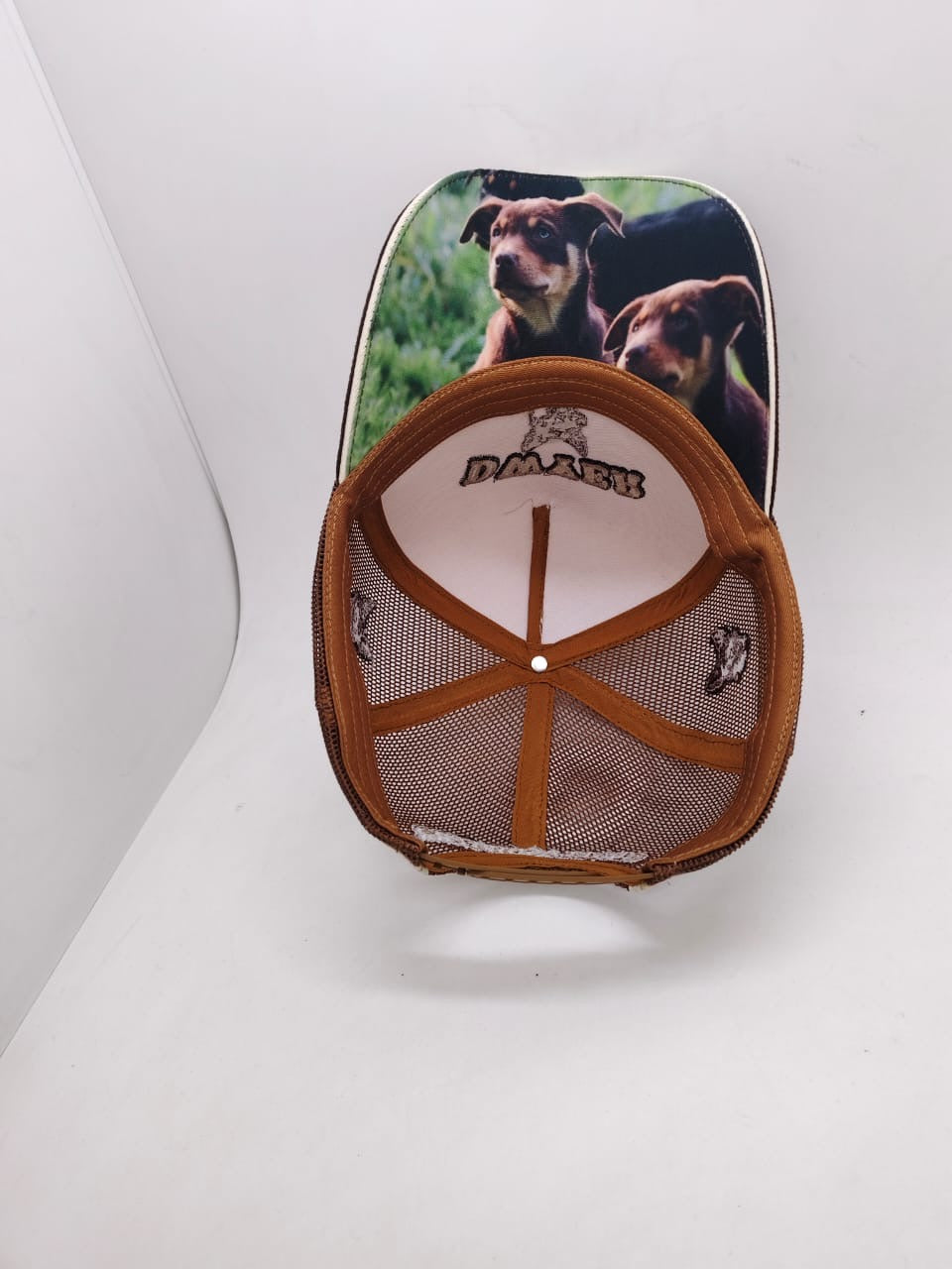 Dwyer Trucker Cap - Brown & Cream