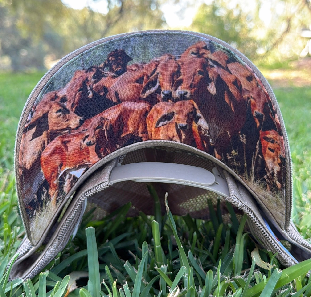 Dwyer Trucker Cap - Cream