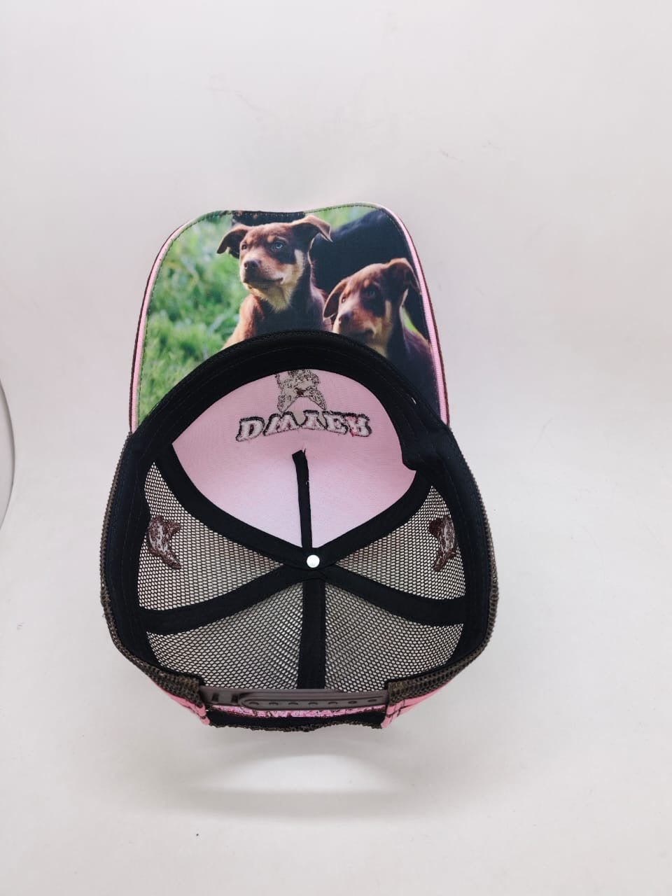 Dwyer Trucker Cap - Baby Pink & Brown