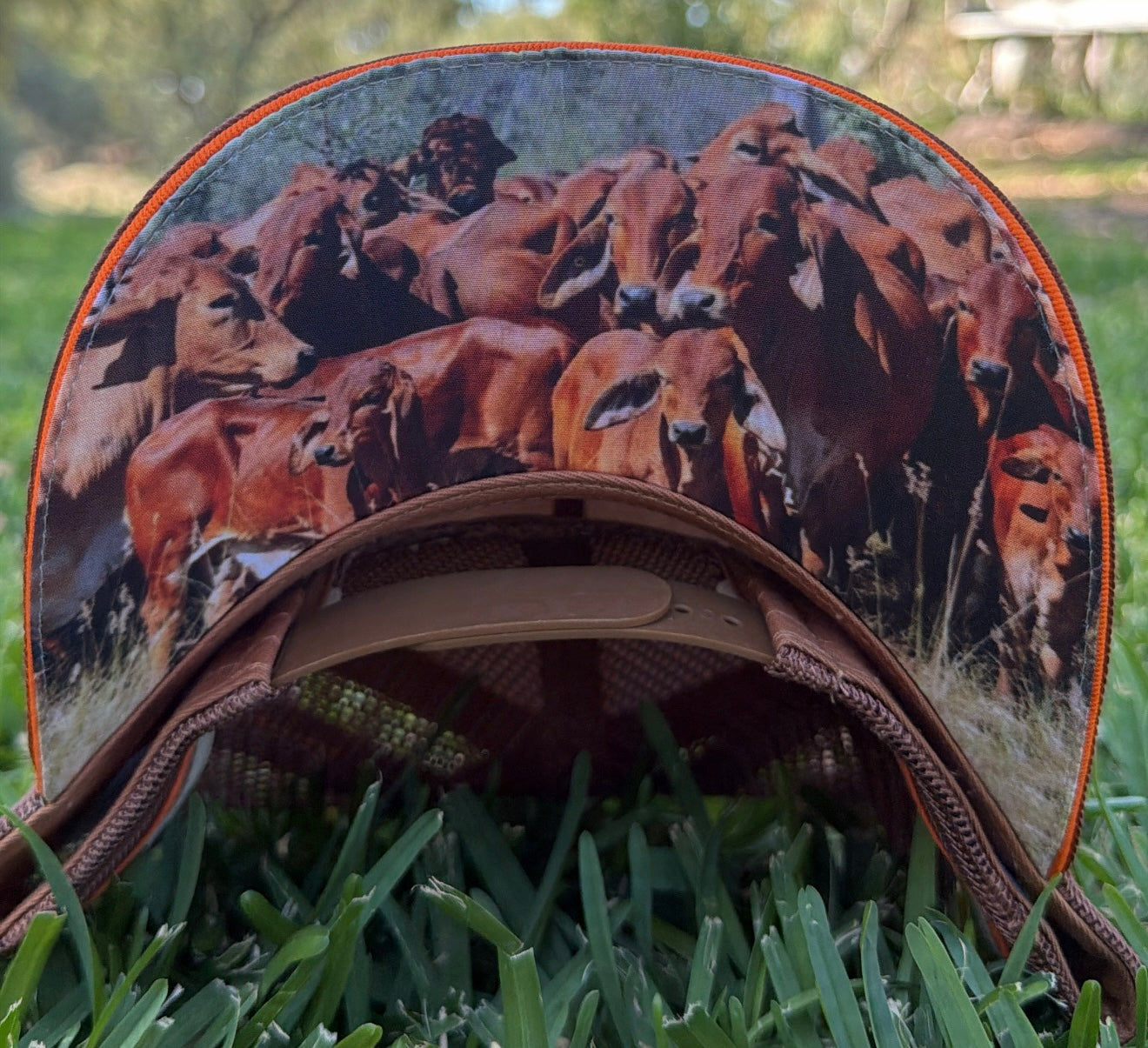 Dwyer Trucker Cap - Brown and Tan
