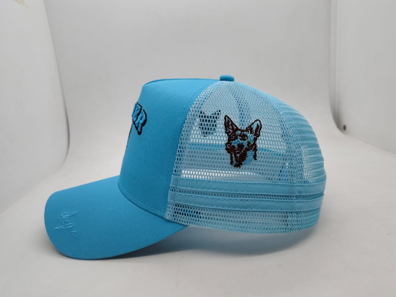 Dwyer Trucker Cap - Blue & Brown